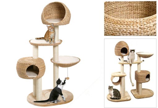 arbre a chat feuille